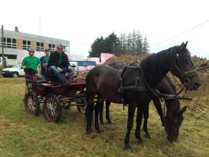 Uspešni nastopi središkega konjeniškega društva na tekmovanjih 1